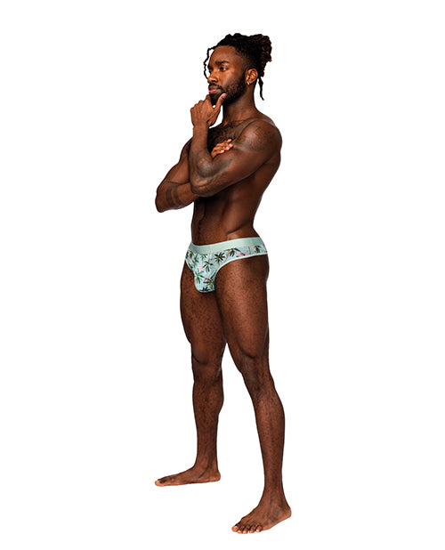 Male Power Sheer Prints Mesh Poly Spandex Thong Flamingo S/M
