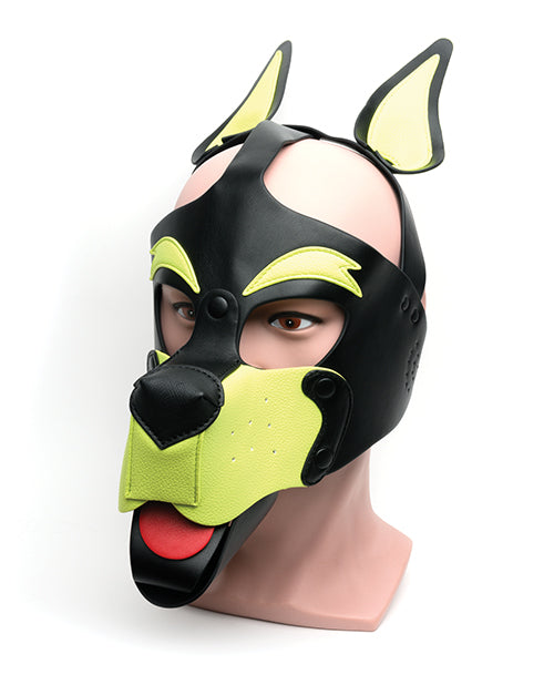 665 665 Playful Pup Hood - O/S Black/Yellow