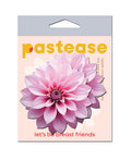 Not Regular Toys Pastease Tropical Dahlia Botanical Flower - Pink O/S - Image 2