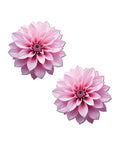 Not Regular Toys Pastease Tropical Dahlia Botanical Flower - Pink O/S