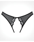 Adore Adore Mirabelle Plum Panty Black O/S - Image 3