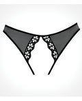 Adore Adore Mirabelle Plum Panty Black O/S - Image 4