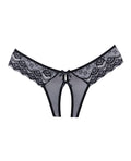 Adore Adore Foreplay Lace & Mesh Front Open Panty Black O/S - Image 3