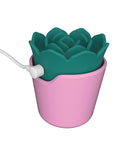 Beacon Wellness Brands plusOne Succulent Arouser - Image 4