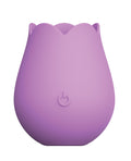 Beacon Wellness Brands Cosmopolitan X plusOne Rose to the Top Vibe - Image 2