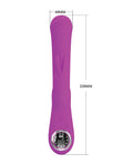 BI-BW500004-LED