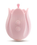 Blush Play With Me Romantic Rose - Pink (2)