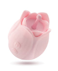 Blush Play With Me Romantic Rose - Pink (3)