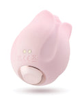 Blush Play With Me Romantic Rose - Pink (4)