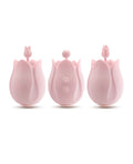 Blush Play With Me Romantic Rose - Pink (6)