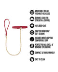 Not Regular Toys Blush Temptasia Ardor Collar & Leash - Red - Image 5
