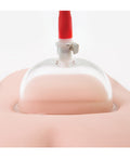 Temptasia Blush Temptasia Advanced Pussy Pump System - Image 4