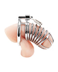 Blue Line Blue Line Deluxe Chastity Cage - Silver - Image 3