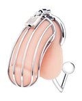 Blue Line Blue Line Cock Cage w/Anal Stimulator - Silver - Image 2