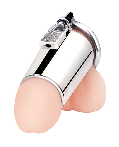 Blue Line Blue Line Ultimate Cock Tease Cage - Silver