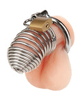 Not Regular Toys Prisoner Cock Cage - Image 4