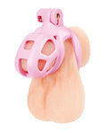 Not Regular Toys Small Pink Humiliation Acrylic Prisoner Cock Cage - Image 2