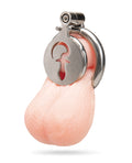 Not Regular Toys Stainless Steel Flat Inverted Chastity Cage w/Piggy Tail Butt Plug Icon - Image 2