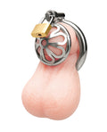 Not Regular Toys Stainless Steel Turtle Head Chastity Cage - Image 2
