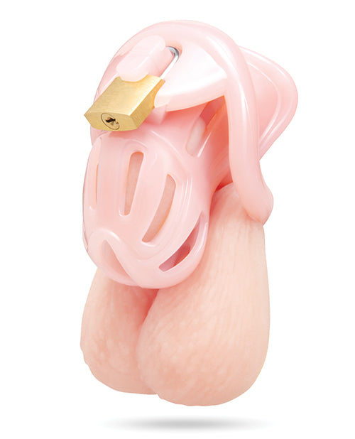 Not Regular Toys Degrading Bitchboy Pink Mini Cock Sissy Boy Chastity Cage