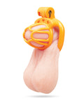 Not Regular Toys Fenced-In Inmate Mini Cock Chastity Case - Image 2