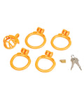 Not Regular Toys Fenced-In Inmate Mini Cock Chastity Case - Image 4