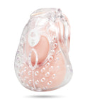 Not Regular Toys Full Coverage Cock & Balls Locked Up Chastity Cage - Clear - Image 2