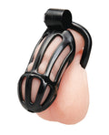 Not Regular Toys 4" Prisoner Cock Cage - Image 2