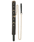 Spartacus Spartacus Collar & Leash - Brown Leather w/Gold Accent Hardware - Image 2