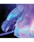 Play Wiv Me Play Wiv Me Huge Penis Ice Luge - Image 4