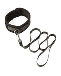 Sei Mio Take the Lead Padded Neck Collar & Leash - Black (2)