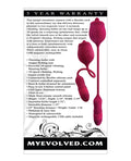 Evolved Evolved Wild Rose - Red - Image 2
