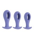 Evolved Evolved Hole Punch Anal Plug Set - Purple Set of 3 - Image 2