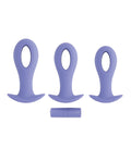 Evolved Evolved Hole Punch Anal Plug Set - Purple Set of 3 - Image 4