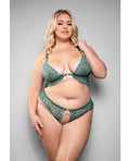 Temptress by Fantasy Temptress Aerin Lace Bra w/Removable Chain & Panty 2 pc Set - Green 3X/4X - Image 2
