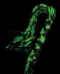 Stoner Vibes Stoner Vibes Glow in the Dark Flogger - Image 3