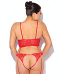 House of Desire Cecily Lace & Mesh Bustier w/Thong & Garter Straps - Red 3X/4X - Image 2
