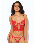 House of Desire Cecily Lace & Mesh Bustier w/Thong & Garter Straps - Red MD - Image 6