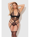 House of Desire Eden Embroidered Lace & Mesh Teddy w/Garters - Black 3X/4X