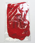 House of Desire Dragon Mesh & Applique Chemise w/G-String 2 pc Set - Red LG - Image 3