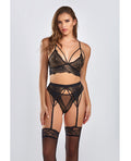 iCollection Lingerie Everly Dot Mesh & Galloon Lace Strappy Bra, Garterbelt & Hipster Panty Black 3X