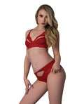 Exposed Rush Lace & Mesh Bra & Panty 2 pc Set - Red S/M - Image 2