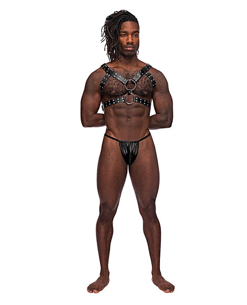 Male Power Leather Gemini Double Ring Harness Black O/S