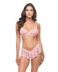 Oh La La Cheri Leyla Lace and Mesh Underwire 2 pc Set - Pink L/XL - Image 3