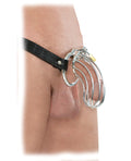 Fetish Fantasy Extreme Fetish Fantasy Extreme The Prisoner Metal Cock Cage - Image 5