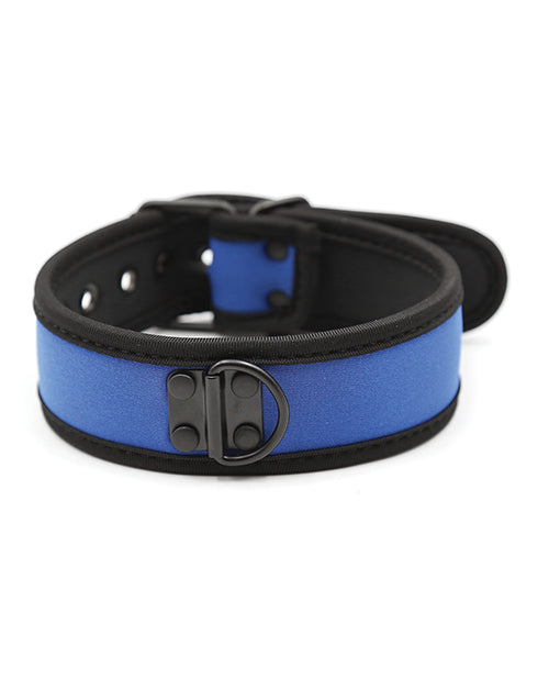 Plesur Plesur Neoprene Puppy Collar - Blue