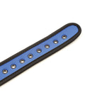 Plesur Plesur Neoprene Puppy Collar - Blue - Image 5