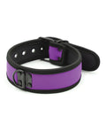 Plesur Plesur Neoprene Puppy Collar - Purple - Image 2