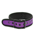 Plesur Plesur Neoprene Puppy Collar - Purple - Image 3