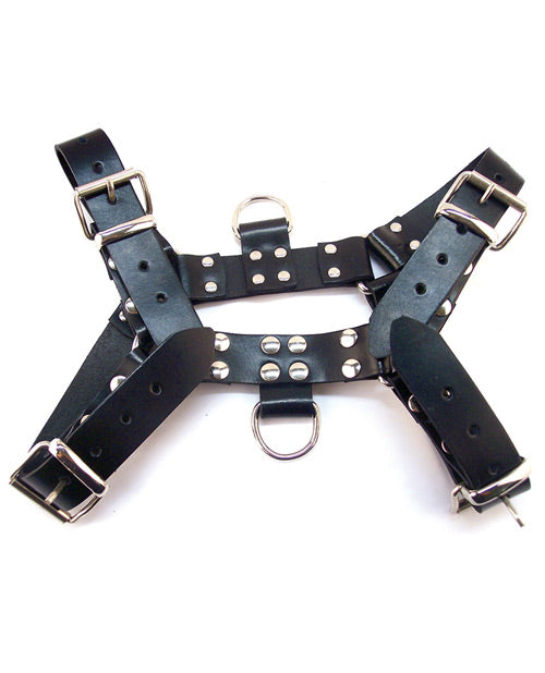 Rouge Rouge Over the Head Large Harness - Black